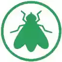 Flies  screen for extension Chrome web store in OffiDocs Chromium