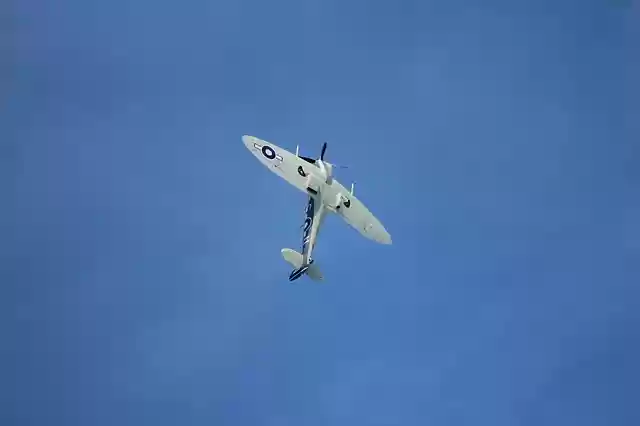 Free download flight airplane sky flying free picture to be edited with GIMP free online image editor