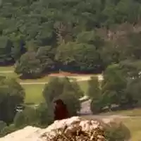 Free download Flight Of The Crow free photo or picture to be edited with GIMP online image editor