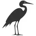 Flight Over Wetlands  screen for extension Chrome web store in OffiDocs Chromium