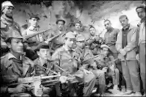 Free download FLN Rifle free photo or picture to be edited with GIMP online image editor