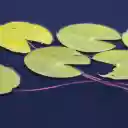 Floating Lily Pads on Dark Water  screen for extension Chrome web store in OffiDocs Chromium