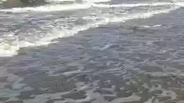 Free download Flood High Water Beach -  free video to be edited with OpenShot online video editor