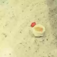 Free download Floor Meringue free photo or picture to be edited with GIMP online image editor