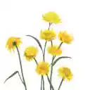 Floral Meadow Theme  screen for extension Chrome web store in OffiDocs Chromium