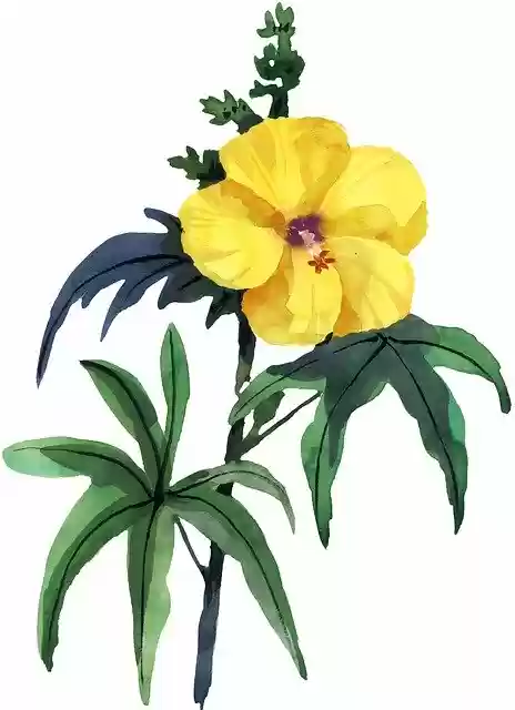 Flower  screen for extension Chrome web store in OffiDocs Chromium