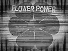 Free download flower1PCiEA free photo or picture to be edited with GIMP online image editor