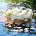 flower basket wallpaper me on water  screen for extension Chrome web store in OffiDocs Chromium