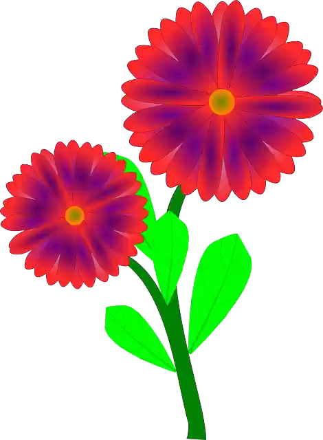 Free download Flower Bloom Blossom - Free vector graphic on Pixabay free illustration to be edited with GIMP free online image editor