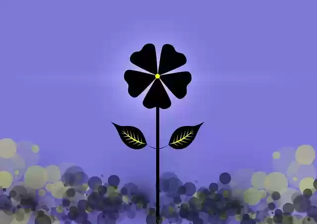 Free download flower bokeh bud bloom stem free picture to be edited with GIMP free online image editor