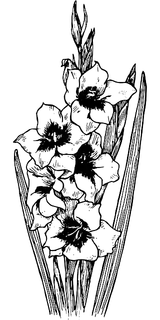 Free download Flower Botany Plant - Free vector graphic on Pixabay free illustration to be edited with GIMP free online image editor