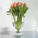 Flower cup  screen for extension Chrome web store in OffiDocs Chromium