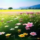 flower field wallpaper  screen for extension Chrome web store in OffiDocs Chromium