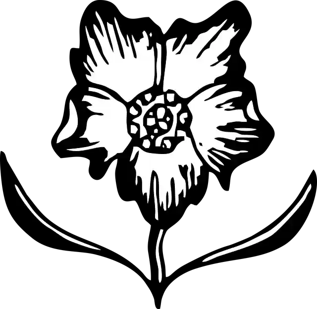 Free download Flower Floral Bloom - Free vector graphic on Pixabay free illustration to be edited with GIMP free online image editor