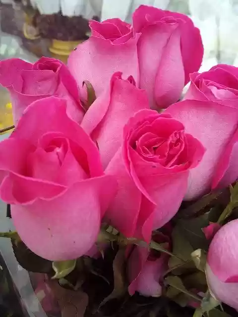 Скачать бесплатно Flower Florist Flowers - бесплатное фото или изображение для редактирования с помощью онлайн-редактора изображений GIMP