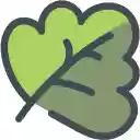 Flower Green Pastel Rose  screen for extension Chrome web store in OffiDocs Chromium