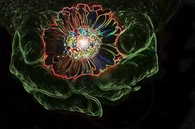 Free download Flower Hand Federal Government -  free illustration to be edited with GIMP free online image editor