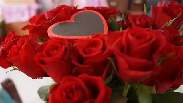 Free download Flower Heart Love -  free photo or picture to be edited with GIMP online image editor