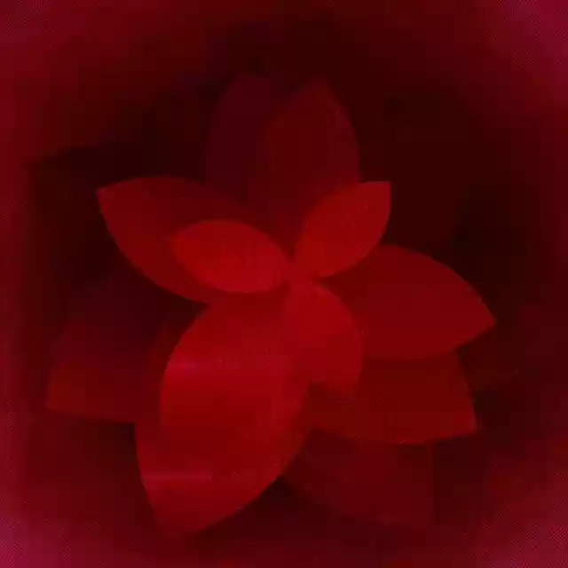 Free download Flower Leaves Plant -  free photo or picture to be edited with GIMP online image editor