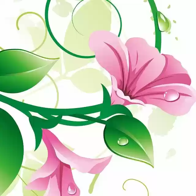Free download Flower Material Small Fresh -  free illustration to be edited with GIMP free online image editor
