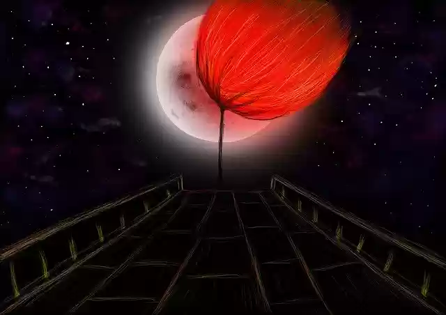 Free download Flower Moon Flowers -  free illustration to be edited with GIMP free online image editor
