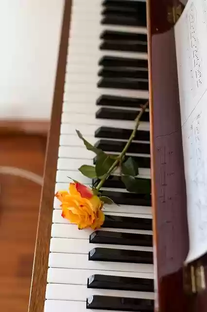 Free download Flower Music Piano -  free photo or picture to be edited with GIMP online image editor