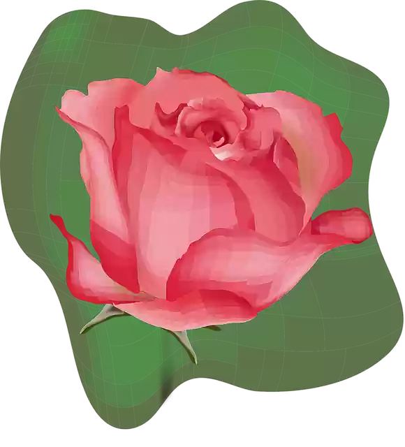 Free download Flower Nature Plant - Free vector graphic on Pixabay free illustration to be edited with GIMP free online image editor
