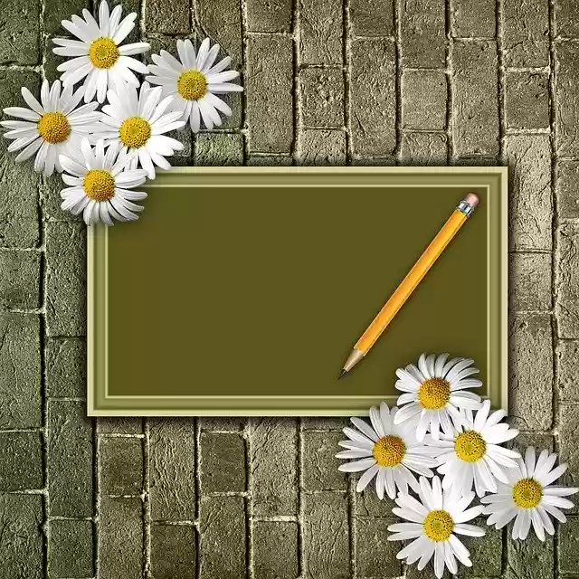 Free download Flower Nature Summer -  free photo template to be edited with GIMP online image editor