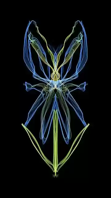 Free download Flower Neon Abstract free illustration to be edited with GIMP online image editor