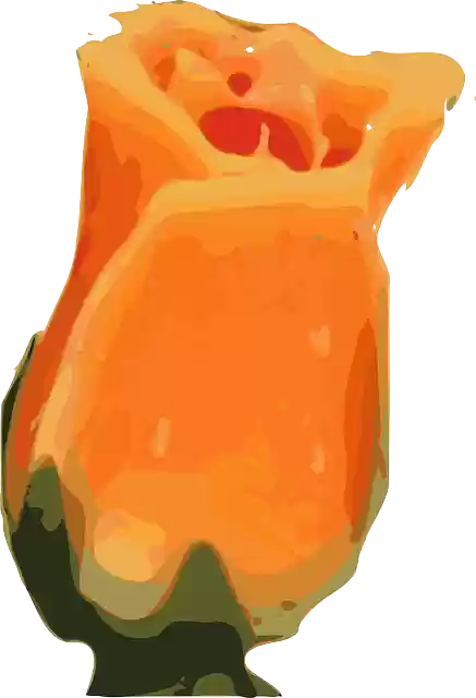 Free download Flower Orange Blossom - Free vector graphic on Pixabay free illustration to be edited with GIMP free online image editor