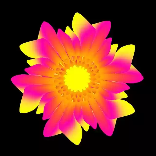 Free download Flower Plant Petal -  free photo or picture to be edited with GIMP online image editor