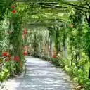 Flower Road  screen for extension Chrome web store in OffiDocs Chromium