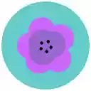 Flower Rose White Flower  screen for extension Chrome web store in OffiDocs Chromium