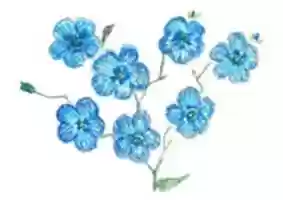 免费下载鲜花 2 张免费照片或图片可使用 GIMP 在线图像编辑器进行编辑