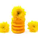 Flowers and cake  screen for extension Chrome web store in OffiDocs Chromium