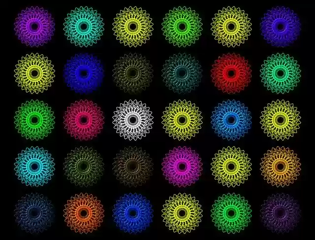 Free download Flowers Arrangement Symmetry -  free illustration to be edited with GIMP free online image editor