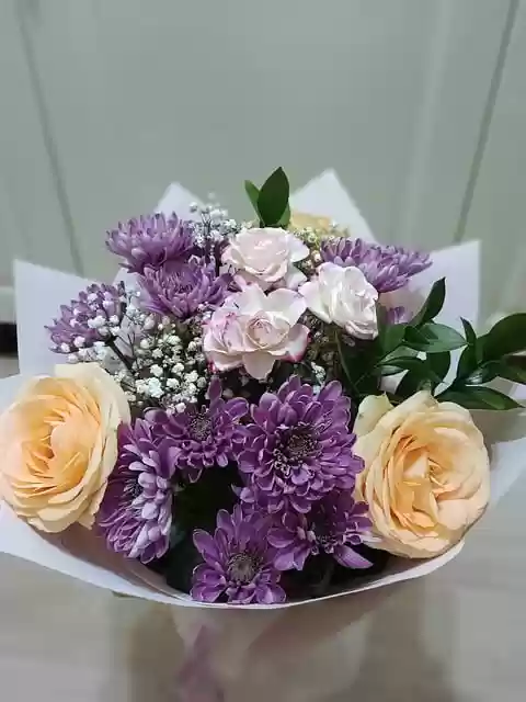Free download flowers beautiful rose gift free picture to be edited with GIMP free online image editor