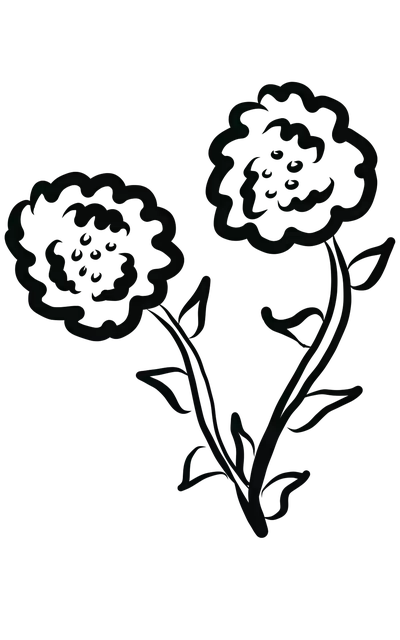 Free download Flowers Black And White Drawing free illustration to be edited with GIMP online image editor