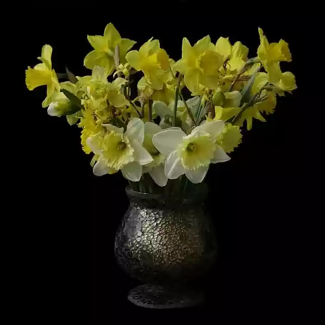 Free download flowers bloom blossom petals free picture to be edited with GIMP free online image editor