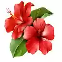 flowers bloom in one area  screen for extension Chrome web store in OffiDocs Chromium
