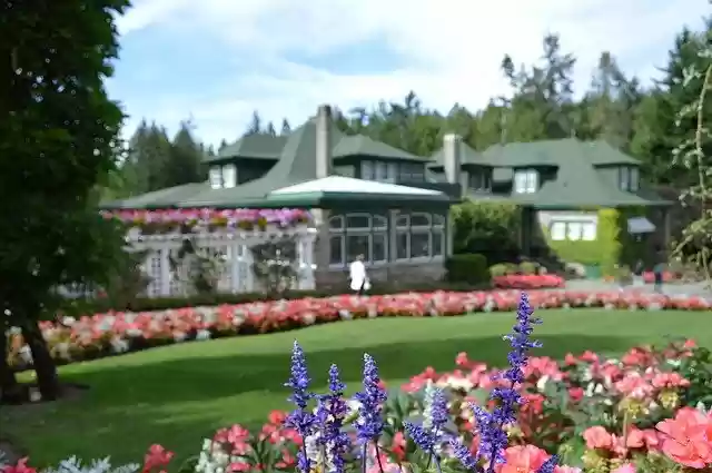 Free download Flowers Butchart Gardens Vancouver -  free photo or picture to be edited with GIMP online image editor