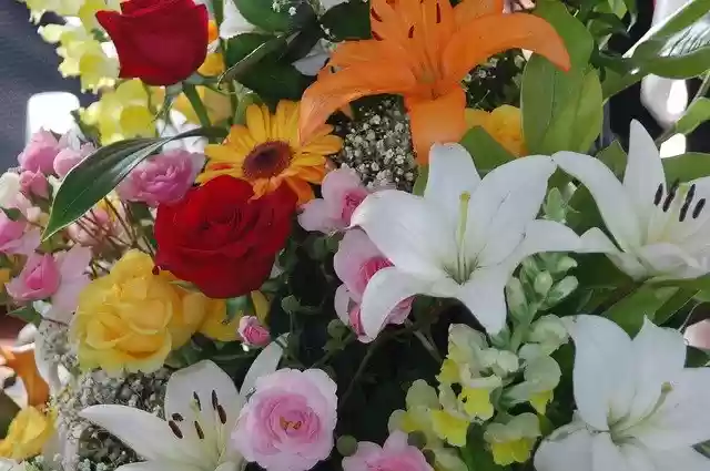 Free download Flowers Colorful -  free photo or picture to be edited with GIMP online image editor