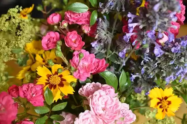 Free download Flowers Colorful Bouquet Of -  free photo or picture to be edited with GIMP online image editor