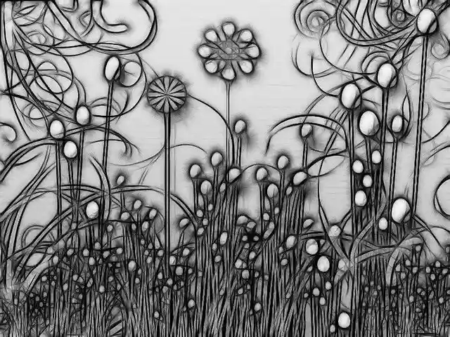 Free download Flowers Garden Photoshop In Black -  free illustration to be edited with GIMP free online image editor