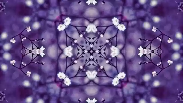 Free download Flowers Kaleidoscope Violet The -  free illustration to be edited with GIMP free online image editor