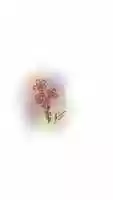 Free download Flower Sketch #01 by Tiara free photo or picture to be edited with GIMP online image editor