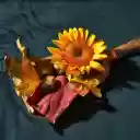 Flowers, leaves and seeds  screen for extension Chrome web store in OffiDocs Chromium