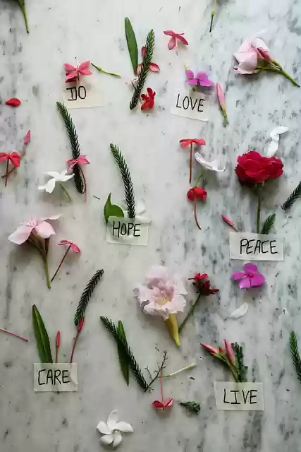 Free download flowers leaves background love free picture to be edited with GIMP free online image editor