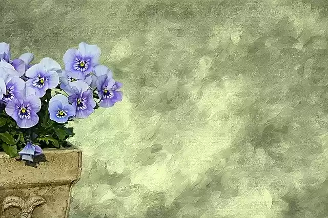 Free download Flowers Pansy Texture Grey -  free illustration to be edited with GIMP free online image editor