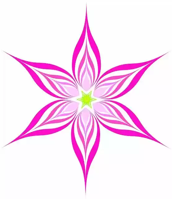 Free download Flowers Petal Pink Flower -  free illustration to be edited with GIMP free online image editor